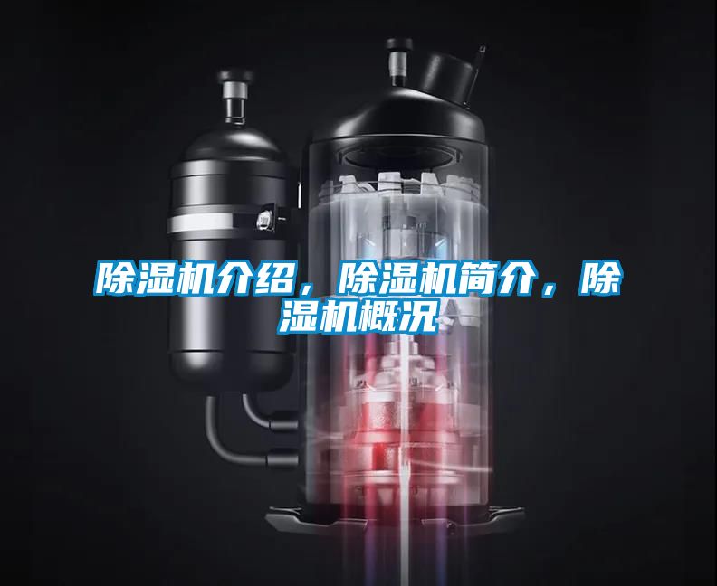 除濕機(jī)介紹，除濕機(jī)簡介，除濕機(jī)概況