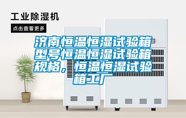 濟(jì)南恒溫恒濕試驗(yàn)箱型號(hào)恒溫恒濕試驗(yàn)箱規(guī)格，恒溫恒濕試驗(yàn)箱工廠