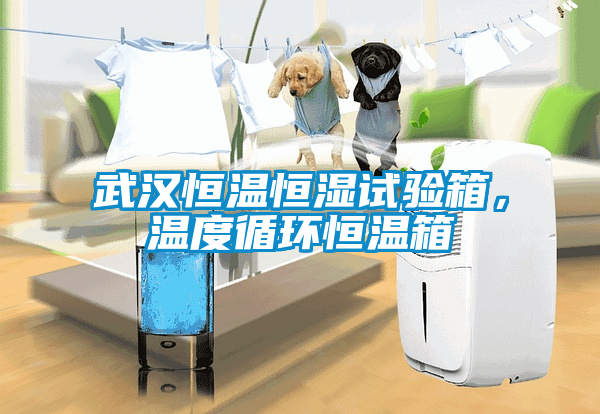 武漢恒溫恒濕試驗(yàn)箱，溫度循環(huán)恒溫箱