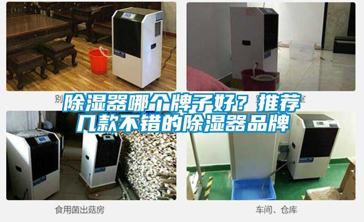 除濕器哪個牌子好？推薦幾款不錯的除濕器品牌