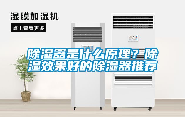 除濕器是什么原理？除濕效果好的除濕器推薦