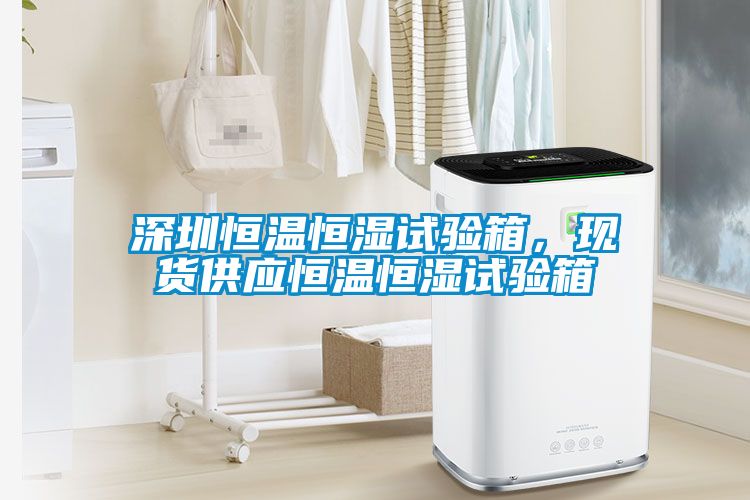 深圳恒溫恒濕試驗箱，現(xiàn)貨供應(yīng)恒溫恒濕試驗箱