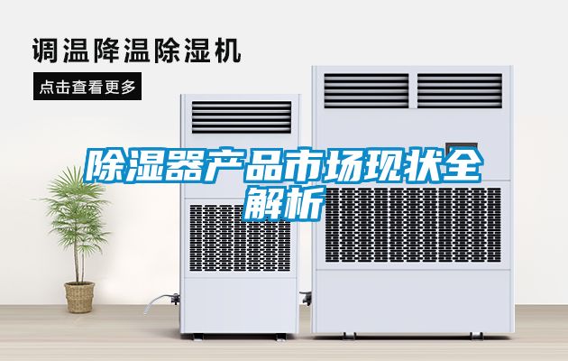 除濕器產品市場現(xiàn)狀全解析