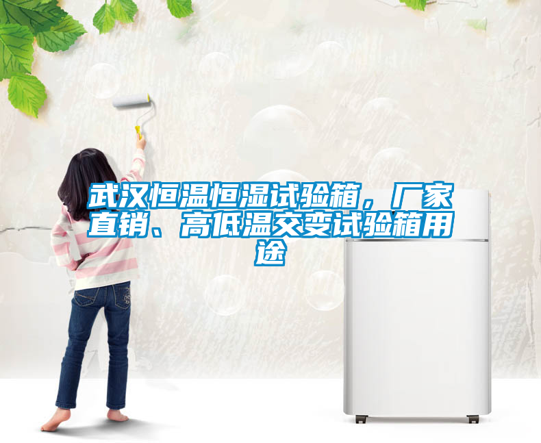 武漢恒溫恒濕試驗(yàn)箱，廠家直銷、高低溫交變?cè)囼?yàn)箱用途