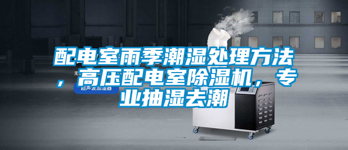 配電室雨季潮濕處理方法，高壓配電室除濕機(jī)，專業(yè)抽濕去潮