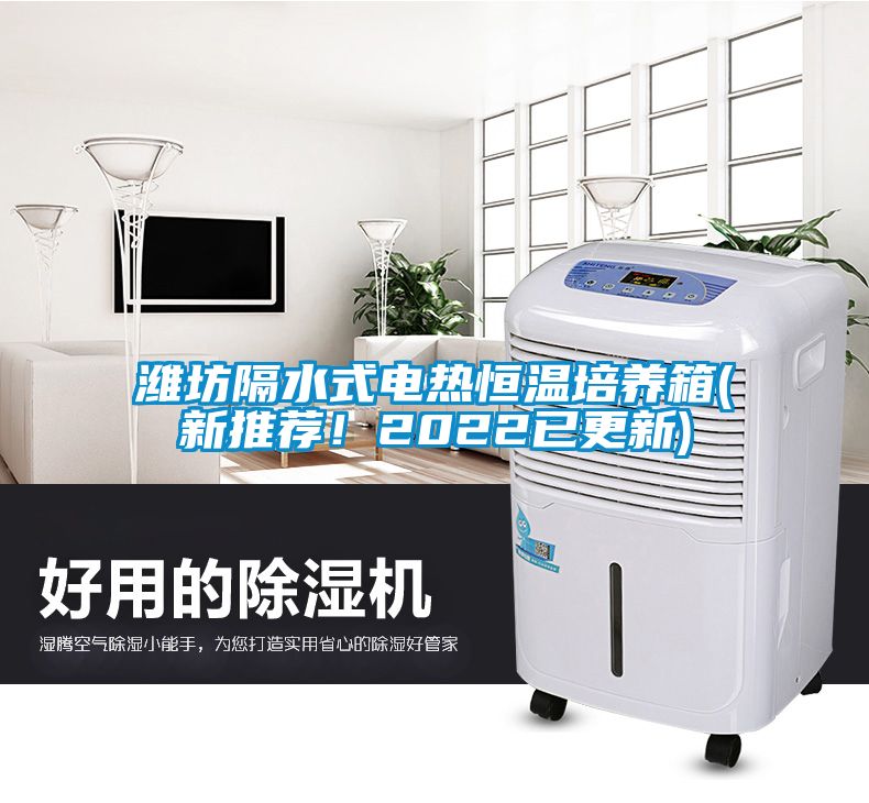 濰坊隔水式電熱恒溫培養(yǎng)箱(新推薦！2022已更新)