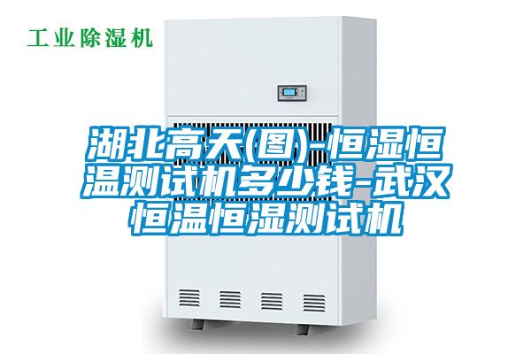 湖北高天(圖)-恒濕恒溫測試機(jī)多少錢-武漢恒溫恒濕測試機(jī)