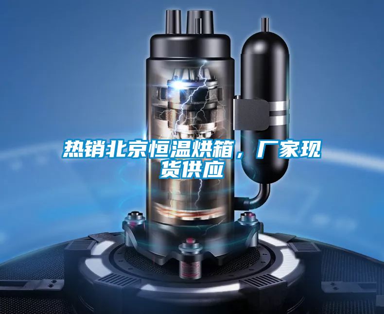 熱銷北京恒溫烘箱，廠家現(xiàn)貨供應(yīng)