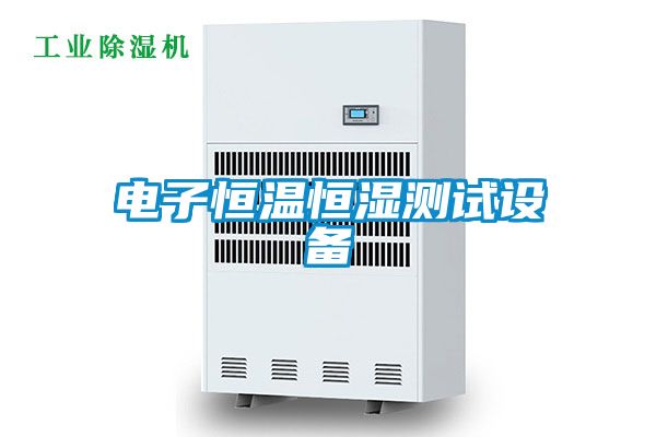電子恒溫恒濕測試設備