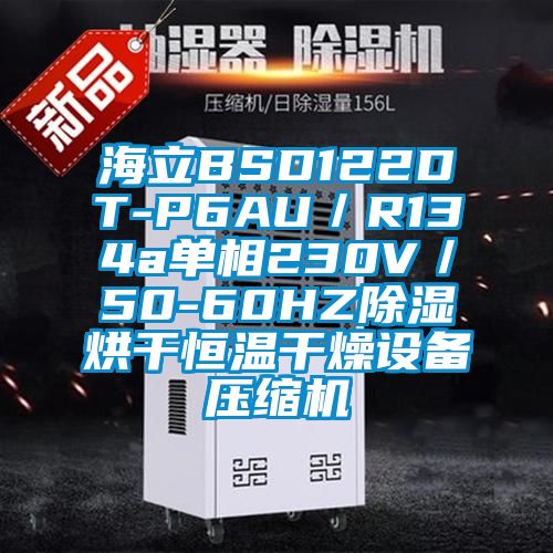 海立BSD122DT-P6AU／R134a單相230V／50-60HZ除濕烘干恒溫干燥設(shè)備壓縮機