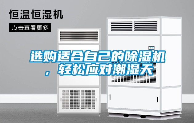 選購適合自己的除濕機(jī)，輕松應(yīng)對潮濕天
