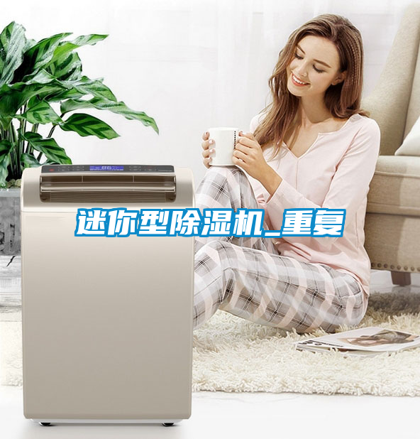 迷你型除濕機(jī)_重復(fù)