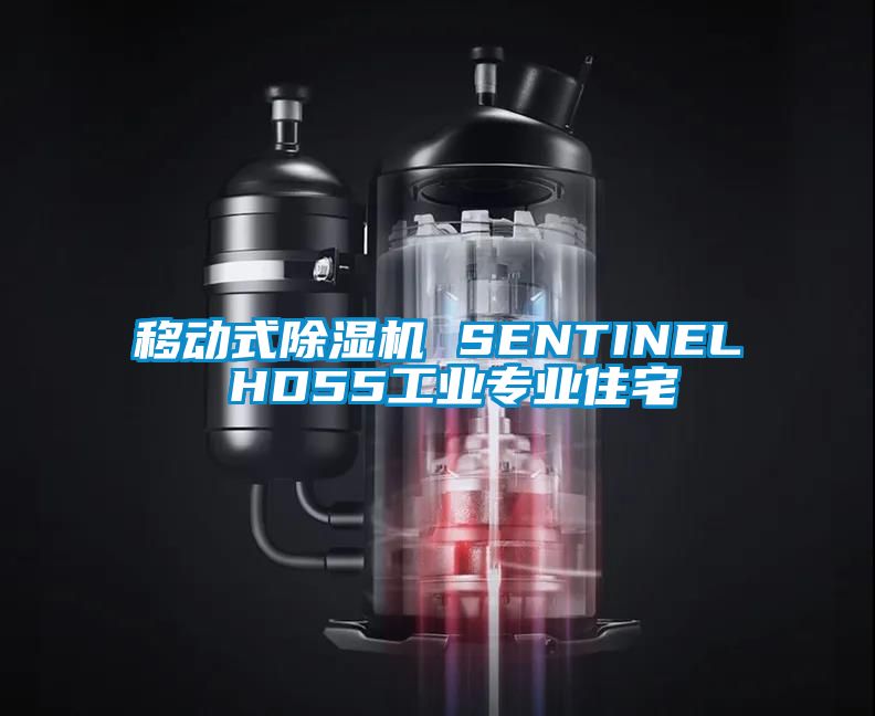 移動式除濕機(jī) SENTINEL HD55工業(yè)專業(yè)住宅