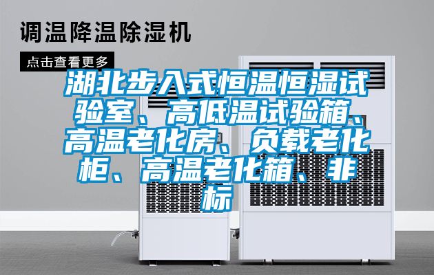 湖北步入式恒溫恒濕試驗室、高低溫試驗箱、高溫老化房、負(fù)載老化柜、高溫老化箱、非標(biāo)