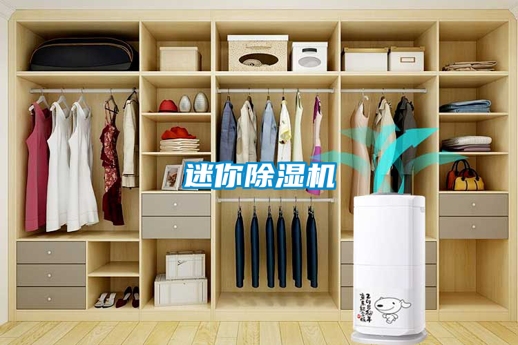 迷你除濕機(jī)