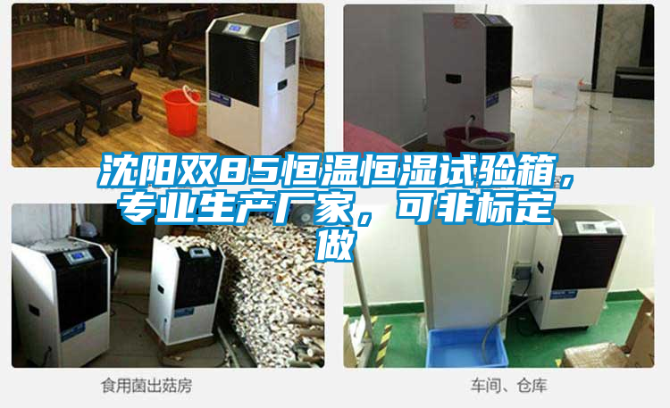 沈陽雙85恒溫恒濕試驗箱，專業(yè)生產(chǎn)廠家，可非標定做