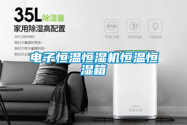 電子恒溫恒濕機恒溫恒濕箱