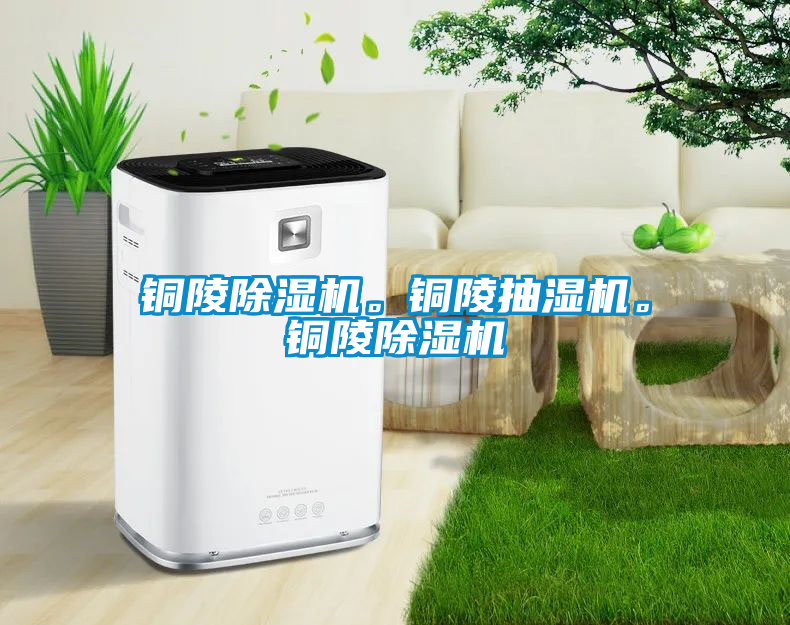 銅陵除濕機(jī)。銅陵抽濕機(jī)。銅陵除濕機(jī)