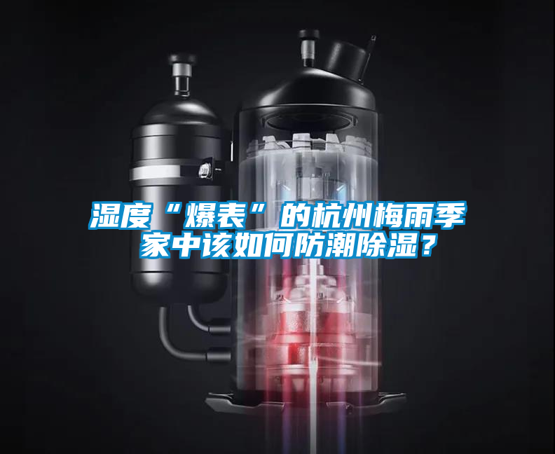 濕度“爆表”的杭州梅雨季 家中該如何防潮除濕？