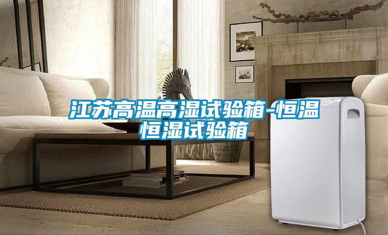 江蘇高溫高濕試驗(yàn)箱-恒溫恒濕試驗(yàn)箱