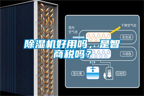 除濕機(jī)好用嗎，是智商稅嗎？