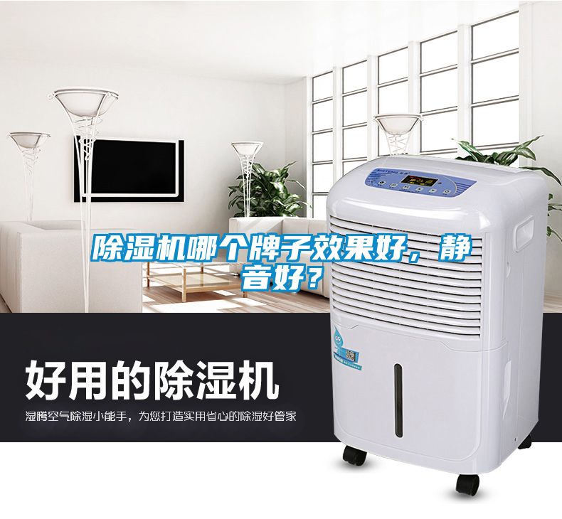 除濕機(jī)哪個(gè)牌子效果好，靜音好？