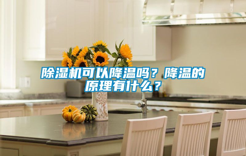 除濕機(jī)可以降溫嗎？降溫的原理有什么？