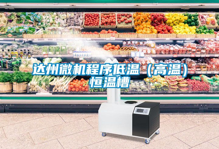 達(dá)州微機程序低溫（高溫）恒溫槽