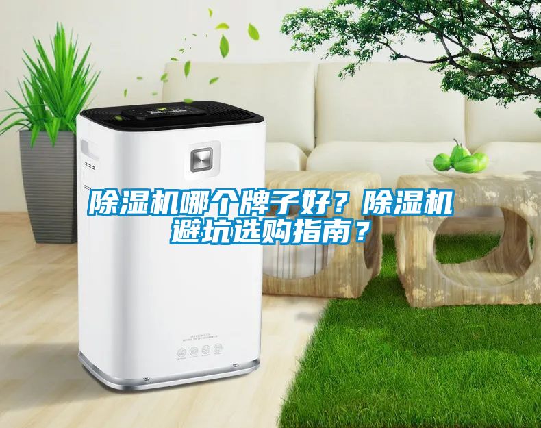 除濕機(jī)哪個(gè)牌子好？除濕機(jī)避坑選購指南？