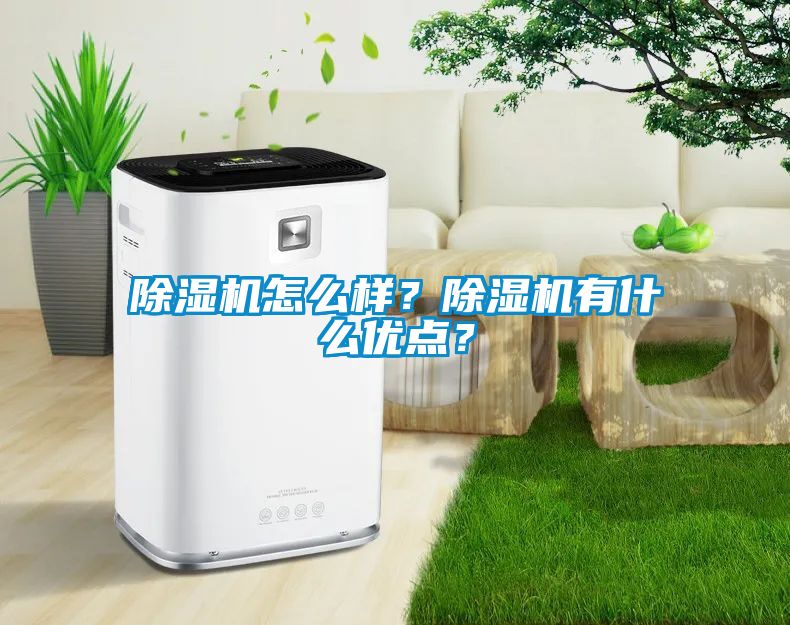 除濕機怎么樣？除濕機有什么優(yōu)點？