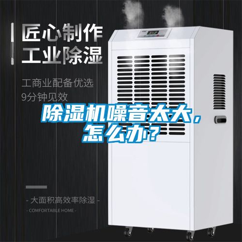 除濕機(jī)噪音太大，怎么辦？