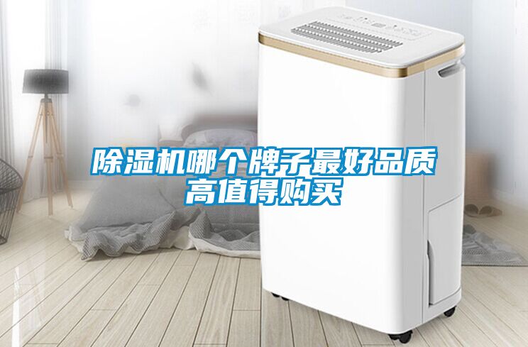 除濕機(jī)哪個(gè)牌子最好品質(zhì)高值得購買