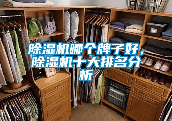 除濕機(jī)哪個(gè)牌子好，除濕機(jī)十大排名分析