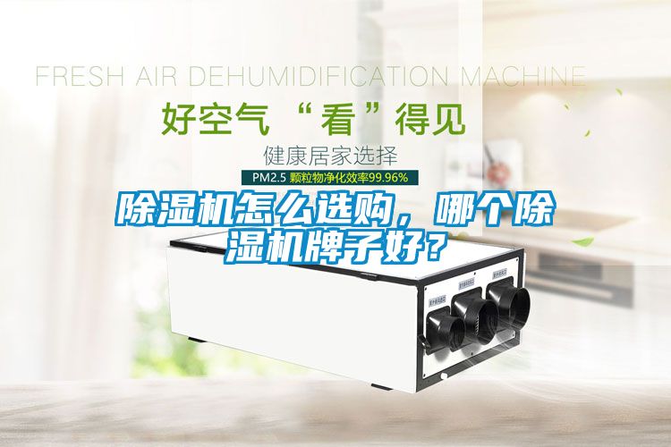 除濕機怎么選購，哪個除濕機牌子好？