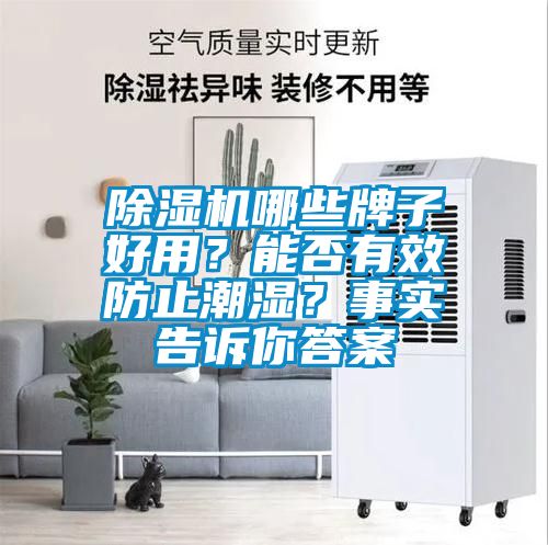 除濕機哪些牌子好用？能否有效防止潮濕？事實告訴你答案
