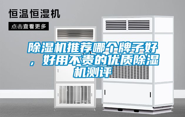 除濕機(jī)推薦哪個(gè)牌子好，好用不貴的優(yōu)質(zhì)除濕機(jī)測(cè)評(píng)