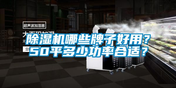 除濕機哪些牌子好用？50平多少功率合適？