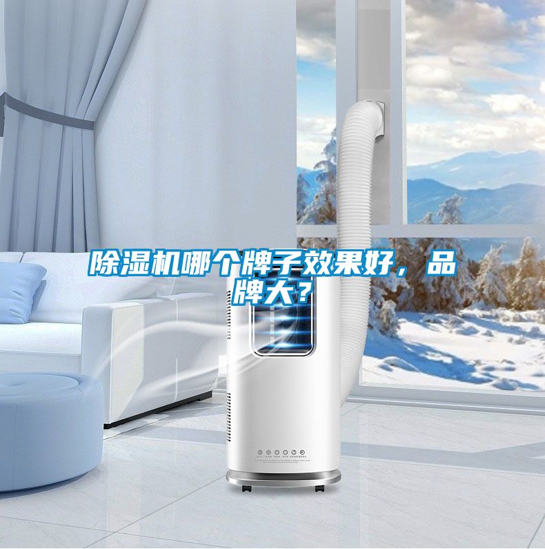 除濕機(jī)哪個(gè)牌子效果好，品牌大？