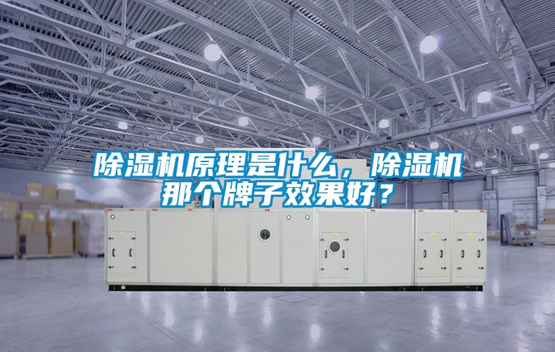 除濕機(jī)原理是什么，除濕機(jī)那個牌子效果好？