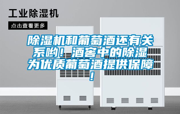 除濕機和葡萄酒還有關(guān)系喲！酒窖中的除濕為優(yōu)質(zhì)葡萄酒提供保障！