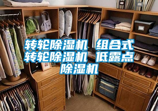 轉(zhuǎn)輪除濕機 組合式轉(zhuǎn)輪除濕機 低露點除濕機