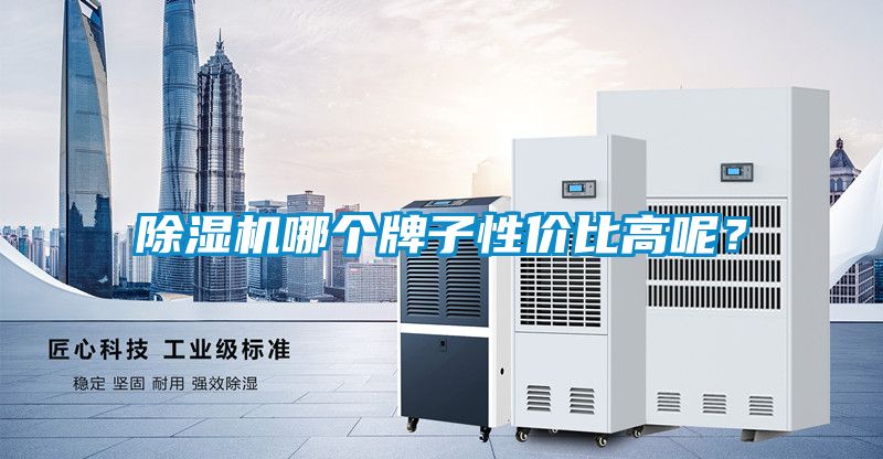 除濕機(jī)哪個(gè)牌子性價(jià)比高呢？