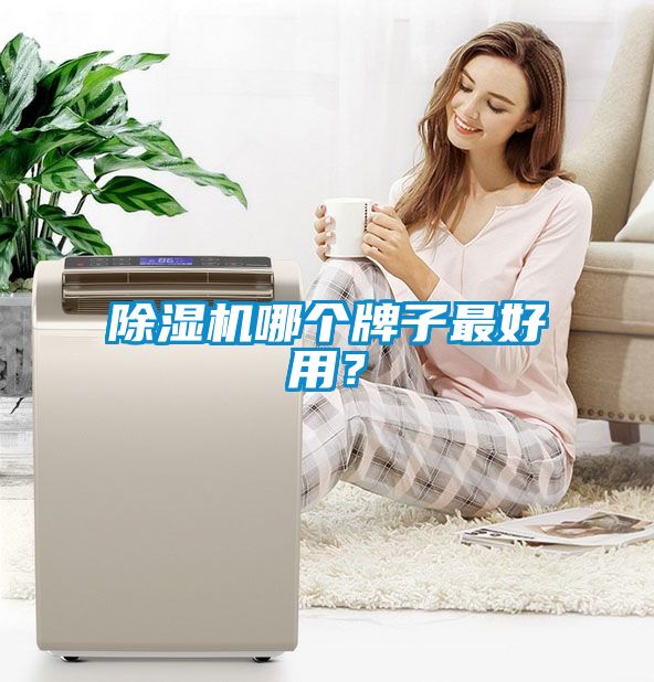 除濕機(jī)哪個(gè)牌子最好用？
