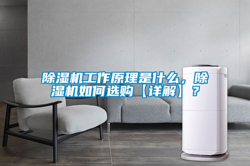 除濕機工作原理是什么，除濕機如何選購【詳解】？