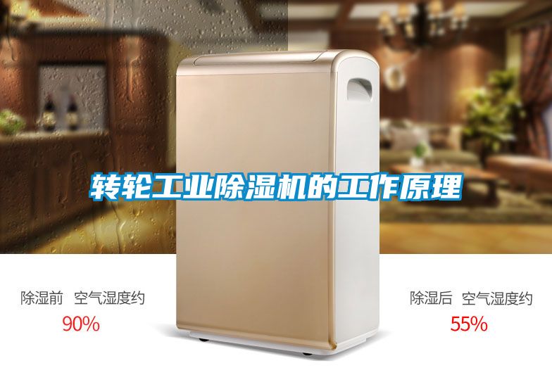 轉輪工業(yè)除濕機的工作原理