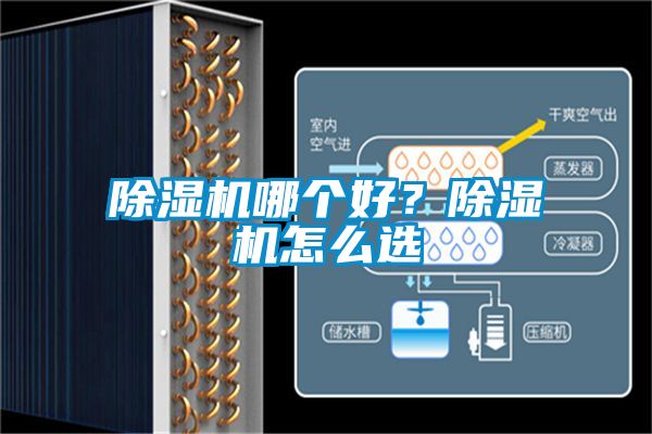 除濕機哪個好？除濕機怎么選