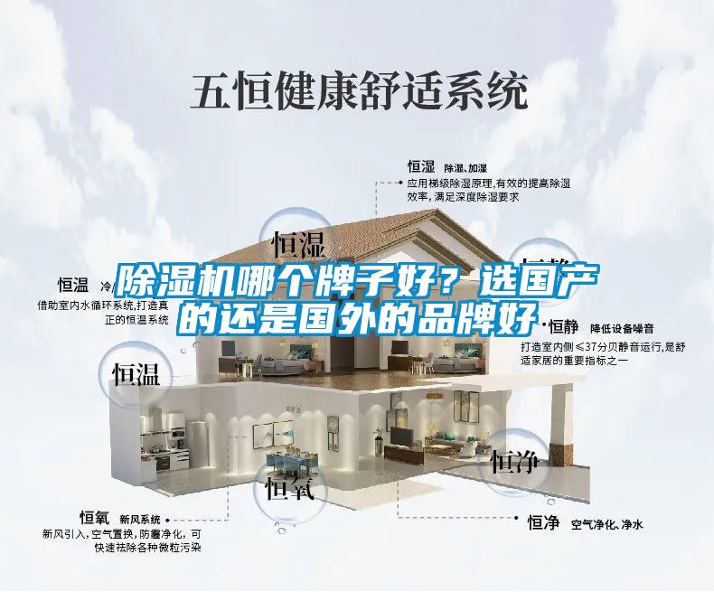 除濕機(jī)哪個(gè)牌子好？選國(guó)產(chǎn)的還是國(guó)外的品牌好