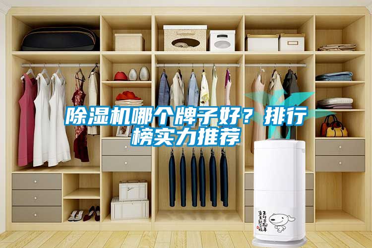 除濕機(jī)哪個(gè)牌子好？排行榜實(shí)力推薦