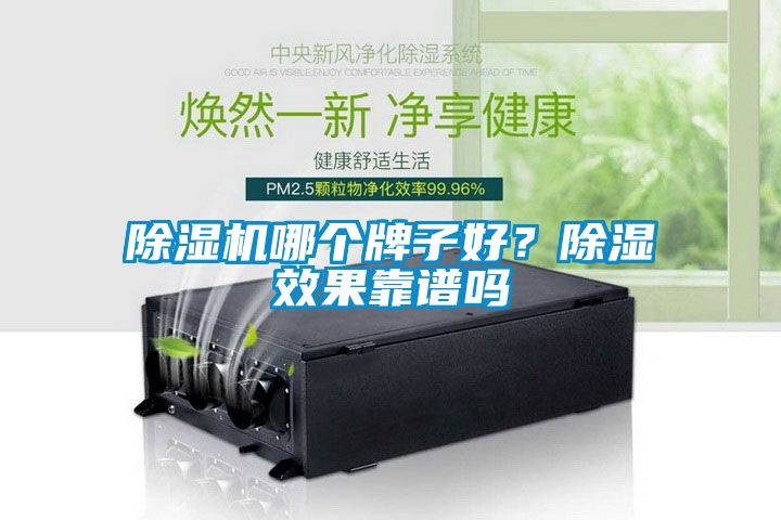 除濕機(jī)哪個(gè)牌子好？除濕效果靠譜嗎