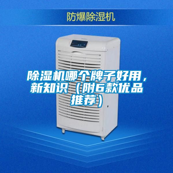 除濕機哪個牌子好用，新知識（附6款優(yōu)品推薦）